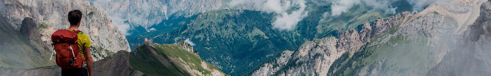 MSM supplement products